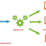 Hypervisor sanallastırma