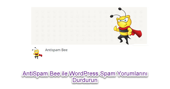 AntiSpam Bee ile WordPress Spam Yorumlarını Durdurun