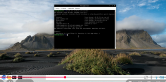 Raspberry Pi 5 Ekran Videosu Çekme